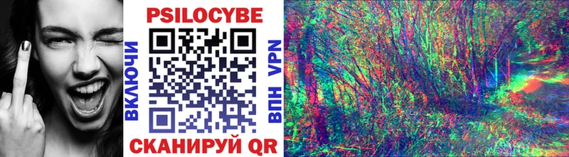 закладки  Красный Кут  Псилоцибиновые грибы Cubensis 